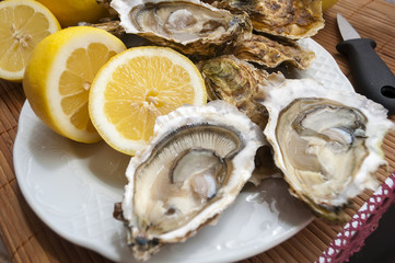 oysters