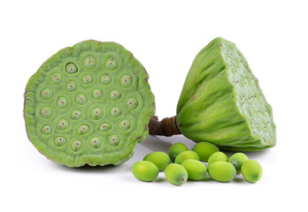Lotus seed isolate white background