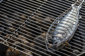 Fangfrische Forelle auf dem Grillrost
