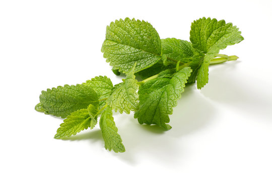 m&eacute;lisse 21052015