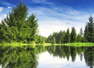 Fototapeta premium Mountain Forest with Lake Landscape