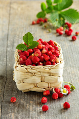 Wild strawberry in a small basket.