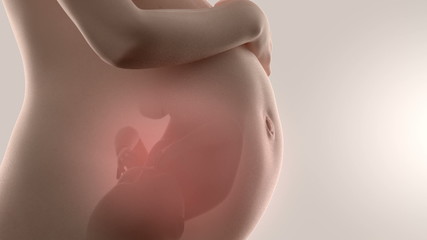 3D ultrasound during pregnancy concept - Powered by Adobe
