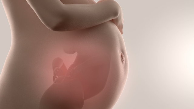 3D ultrasound during pregnancy concept