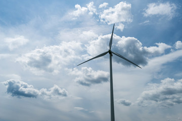 Green field of wheat and wind turbines generating electricity