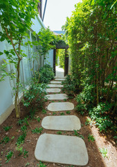 rocks pathway through a tropical country house.