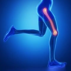 FEMUR - running man leg scan in blue