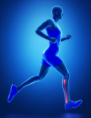 Fototapeta na wymiar FIBULA - running man leg scan in blue