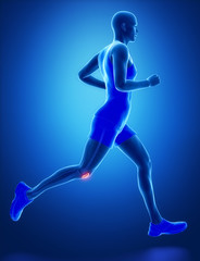 Fototapeta na wymiar PATELLA - running man leg scan in blue