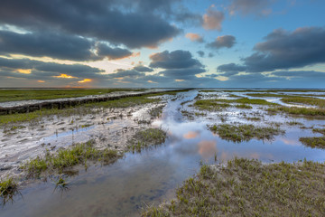 Reclaimed Land at waddensea