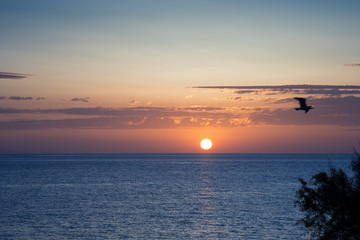 tramonto con gabbiano