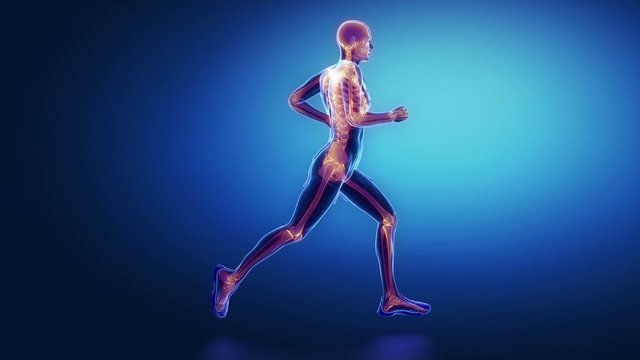 Runner tibia animation