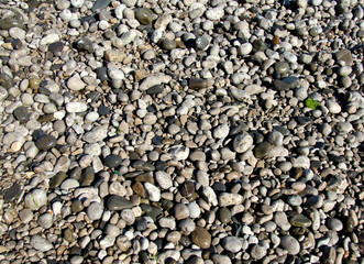 The texture of the beautiful sea pebbles