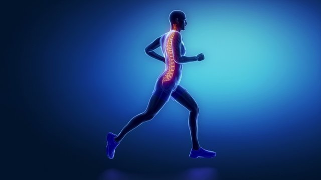 Jogging man spine scan