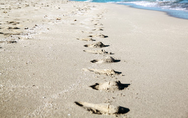 Footprints in the Sand