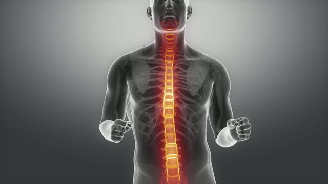 Running man  SPINE scan in loop