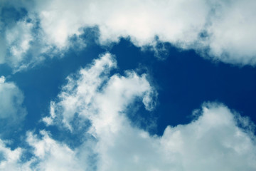White  Cloud
