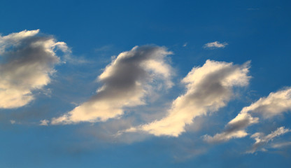 Fototapeta na wymiar A dark cloud on a blue background