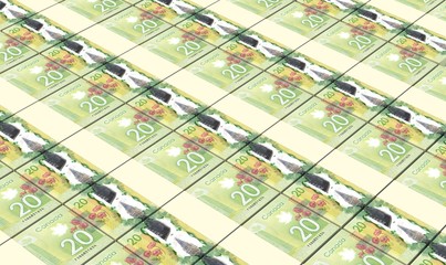 Canadian dollar bills stacks background.