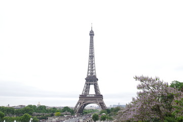 Eiffelturm Paris 1