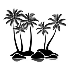 Palm trees on stones isolated on white