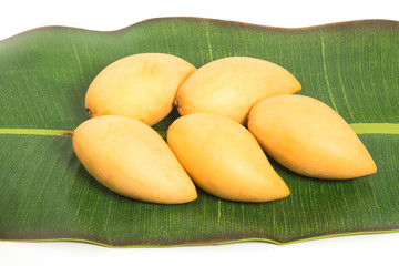golden Mango fruit on banana leaf