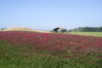 View over rural Tuscany, Italy 