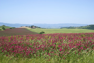 View over rural Tuscany, Italy 