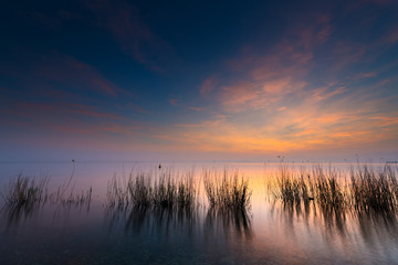 reeds in lake at sunset with cloudy blue orange sky