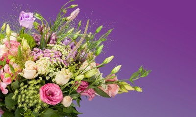 Flower, Tulip, Bouquet.