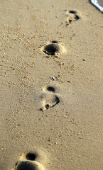 Human traces on sand