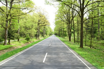 Obraz premium Strasse