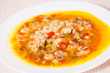 chicken soup with vegetables and rice