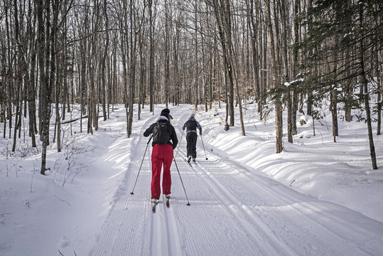 ski de fond dans une for&ecirc;t couverte de neige