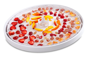 Slices of fruits and berries on dehydrator tray
