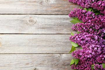 Purple lilac flowers on grey wooden background