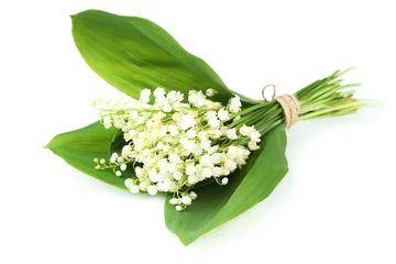 Papier Peint photo autocollant Muguet Lily of the Valley with leaves isolated on white