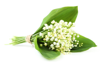 Obraz premium Lily of the Valley with leaves on a white background