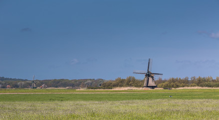 Fototapeta na wymiar Monumental windmills in Dutch landscape