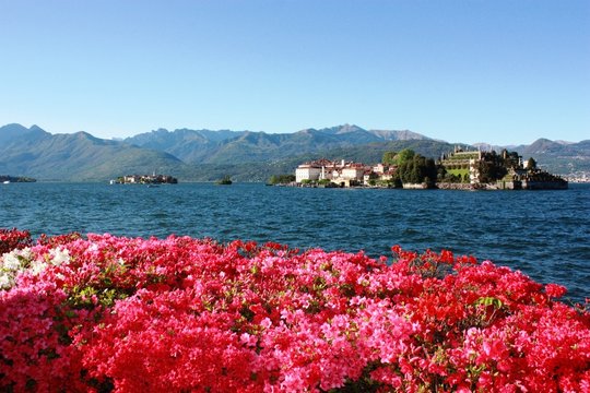 Isola Bella, Isola Pescatori - Stresa Waterfront blooming