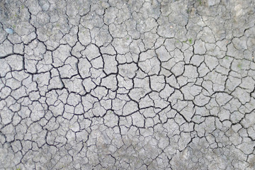 dry soil cracked earth texture, The Netherlands