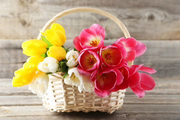Beautiful tulips in basket on grey wooden background