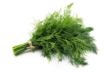Fresh dill 