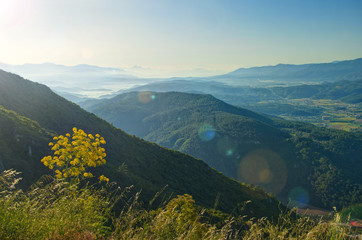 view of mountain range and plants in morning sunlight