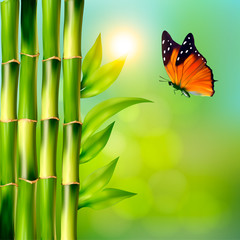 Fototapeta na wymiar Spa background with bamboo and butterfly.Vector