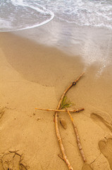 Sprig on the beach  while waves crashing