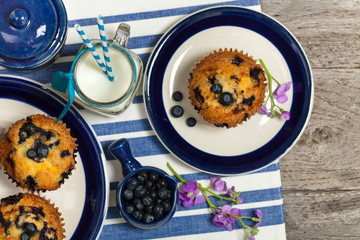 Delicious Homemade blueberry muffins with fresh blueberries. Selective focus.