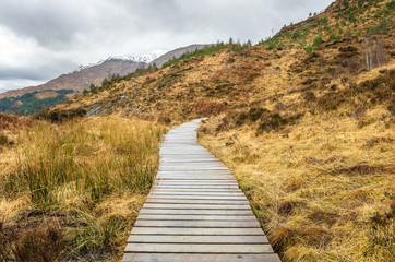 Curving Wooden Walkway in the Mountains