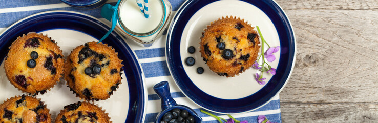 Delicious Homemade blueberry muffins with fresh blueberries. Selective focus.