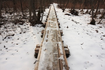 Obraz premium 木道